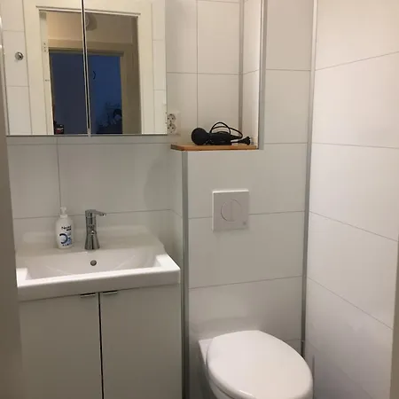 Apartament City-house In For Rent