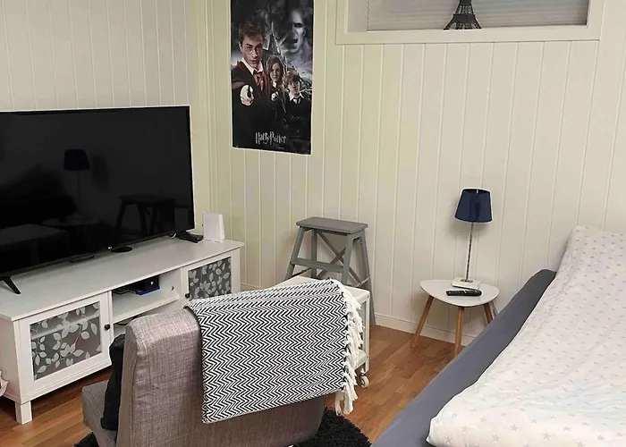 City-house In For Rent * 나르비크
